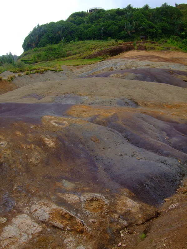 Mauritius 2010 - 0295 